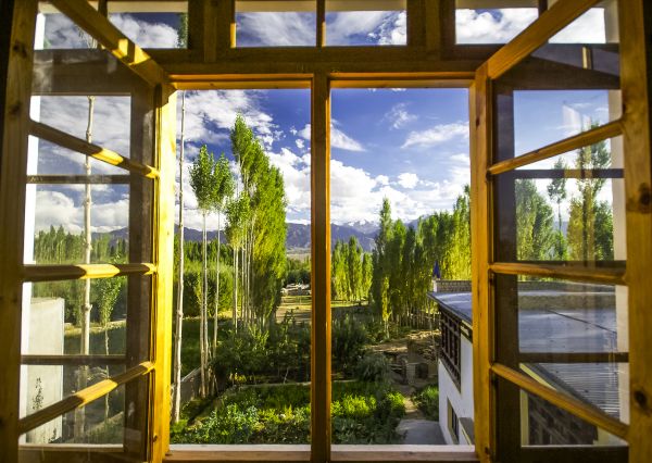 Cost of Wood Window Replacement in Harrisburg